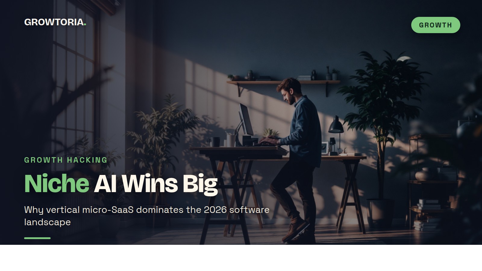 vertical micro-SaaS