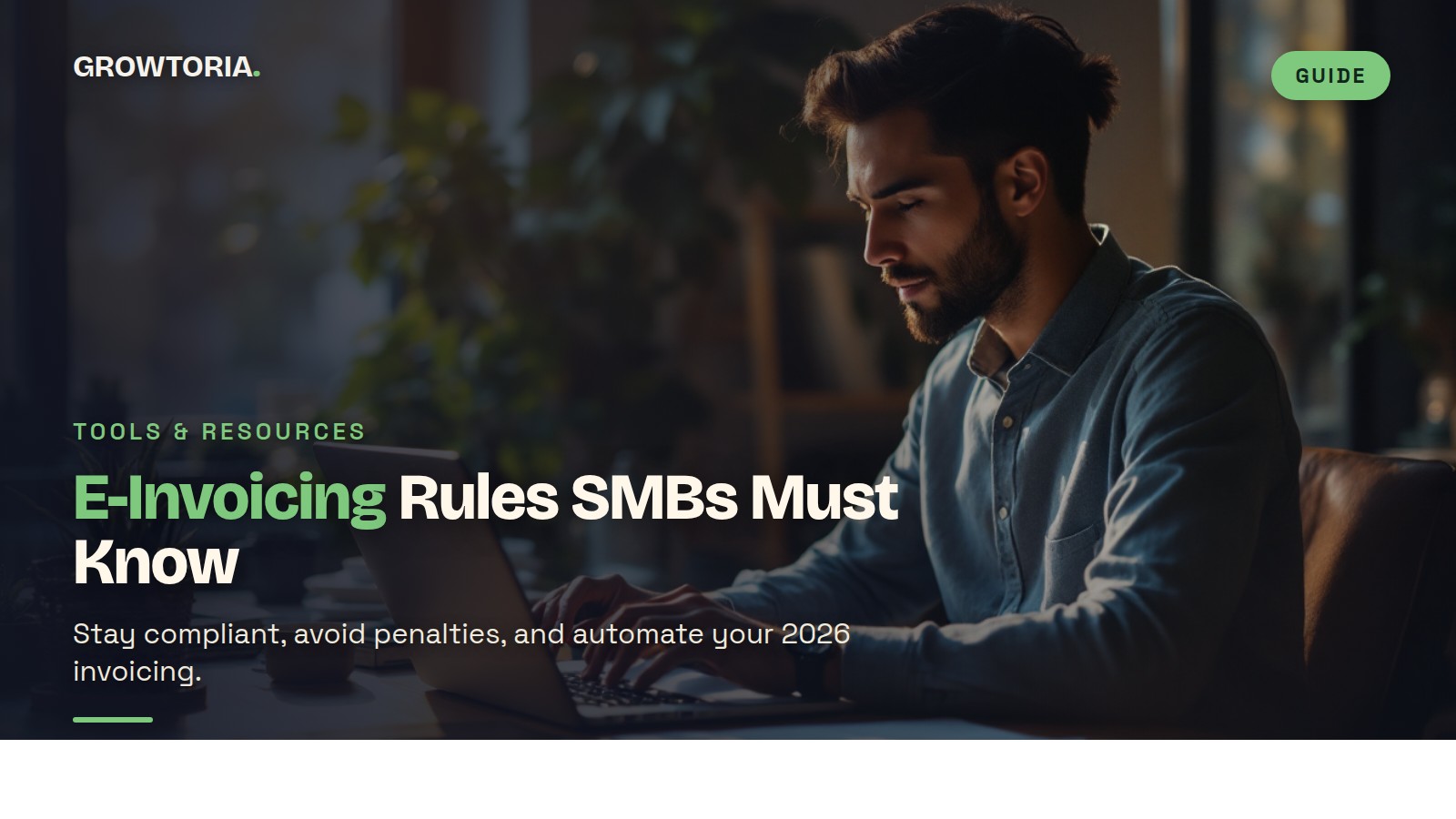 e-invoicing compliance for SMBs